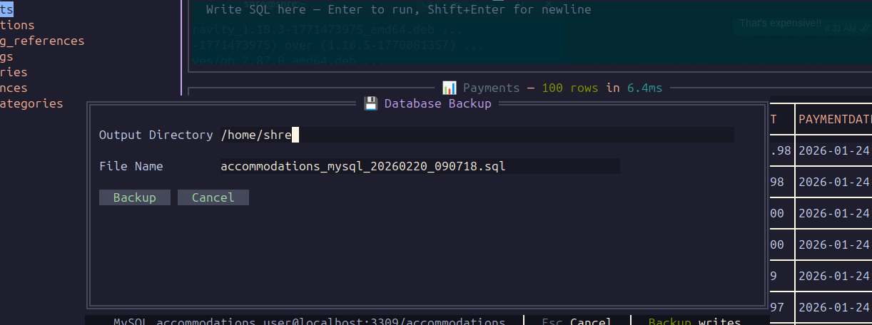 dbterm SQL query editing and results browsing view